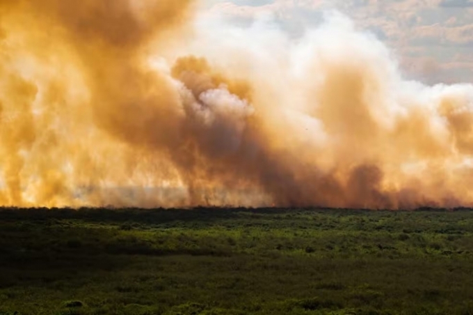 Pantanal: incêndios disparam mais de 1000% e bacia do rio Paraguai tem seca