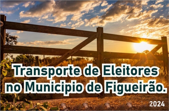 Justiça Eleitoral divulga as linhas de transporte de eleitores do município de Figueirão.