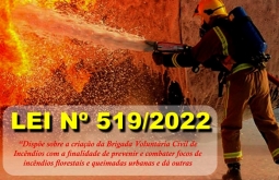 Alcinópolis cria brigada voluntaria civil de combate a incêndio florestai