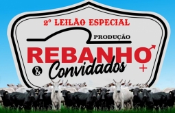2º Leilão Especial da REBANHO Assistência Veterinária em Alcinópolis.