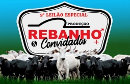 Leilão de gado em Alcinópolis, Cria, Recria e Engorda.