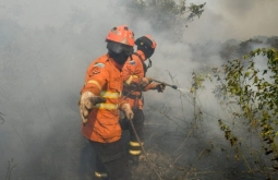 Luta dos Bombeiros contra o fogo no Pantanal é contínua.