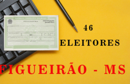 46 eleitores de Figueirão poderão ter o título cancelado