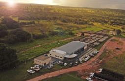 Leilão de gado de corte movimenta o agronegócio em Alcinópolis durante aniversário de 33 anos