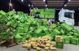 PRF apreende mais de 100 kg de skunk (supermaconha) escondidos em caminhão na BR-364, em Jataí