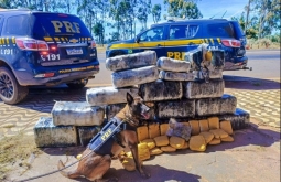 PRF apreende mais de 300 kg de skunk em carga de caminhão na BR-364, em Alto Araguaia-MT