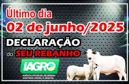 Produtores rurais têm até 2 de junho para declarar rebanho em MS