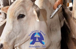 Inscrições abertas para curso de 