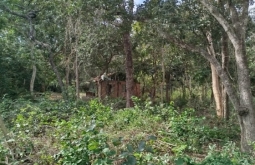 PMA autua oito pessoas por construções irregulares em APP no Rio Taquari