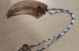 Homem é preso após agredir a namorada com colar feito de garra de tatu