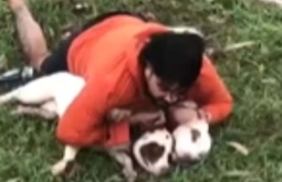 Lutador de Muay Thai é atacado, derrubado e imobiliza dois pitbulls em MS