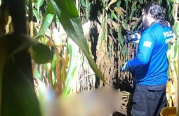 Atirador mata companheiro de caça após confundi-lo com animal, em Mineiros