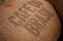 Tarifa de 50% sobre café brasileiro vai aumentar inflação para consumidor nos EUA