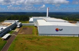 Avicultores de Mineiros vinculados à BRF anunciam paralisação