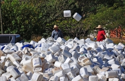 Coleta itinerante em Alcinópolis recebe 10.214 vasilhames de defensivos agrícolas para reciclagem