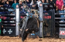 Peão de Inocência lidera ranking da PBR e chega como favorito à Final Nacional em Barretos