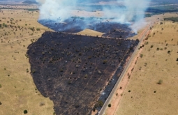 Prefeitura de Figueirão faz rescaldo em área atingida por incêndio nesta terça-feira
