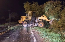 Temporal com fortes ventos derruba árvores em Bonito (MS)