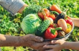 Figueirão abre chamada pública para compra de produtos da agricultura familiar