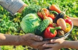 Prefeitura de Figueirão abre chamada pública para compra de alimentos da agricultura familiar
