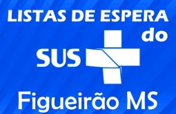 Figueirão sanciona lei que determina divulgação das listas de espera do SUS