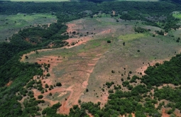 Mutirão dará início ao plantio de sementes no Parque Estadual Nascentes do Rio Taquari