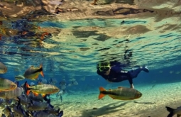 Bonito ativa plataforma de cobrança da Taxa de Conservação Ambiental