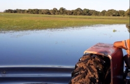 Funcionário de fazenda desaparece no meio do Pantanal de MS e só trator é encontrado