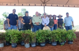 Figueirão realiza plantio de mudas e cria barreira arbórea no Transbordo Municipal