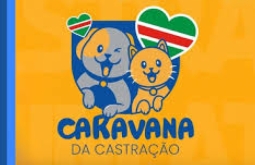 Caravana da Castração chega a Alcinópolis com vagas gratuitas para cães e gatos