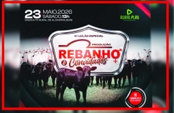 Rebanho & Convidados prepara  4º Leilão com foco em genética e qualidade em Alcinópolis