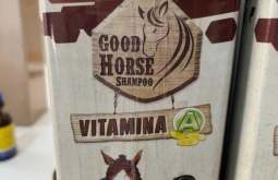 Veterinária influenciadora é presa por vender shampoo de cavalo como produto humano