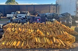 Mais de 3,9 toneladas de maconha são apreendidas em fazenda de MS