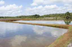 Bebê de 1 ano morre afogada em tanque de peixes na zona rural de Chapadão do Sul