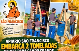 Figueirão ganha força na produção de mel e Apiário São Francisco embarca 2 toneladas para Camp