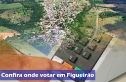 Eleições 2026: confira onde votar em Figueirão