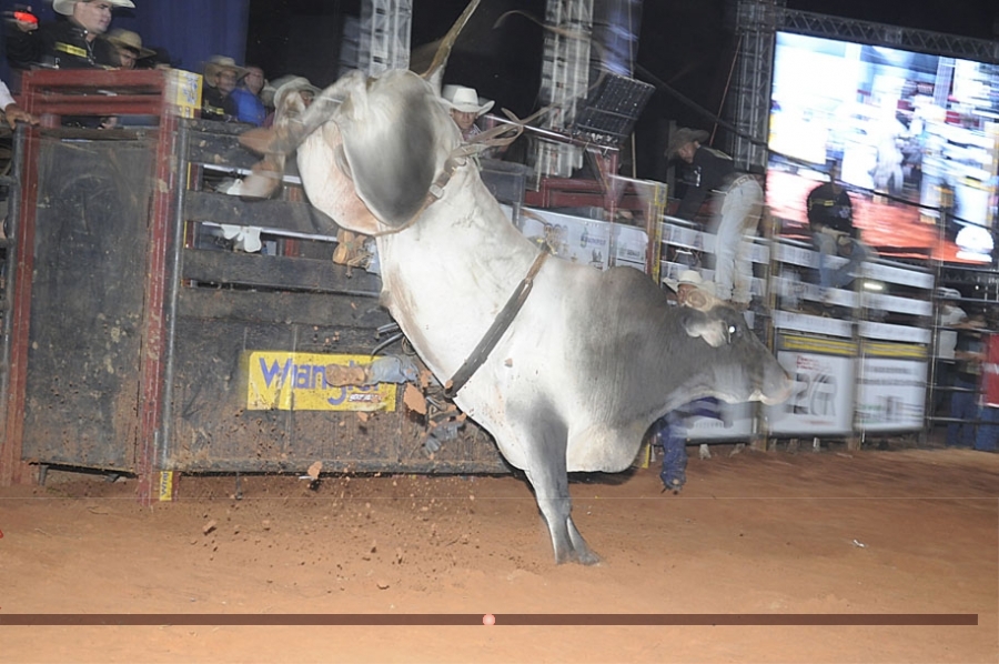 2º dia de Rodeio: 20ª Festa do Peão de Alcinópolis.