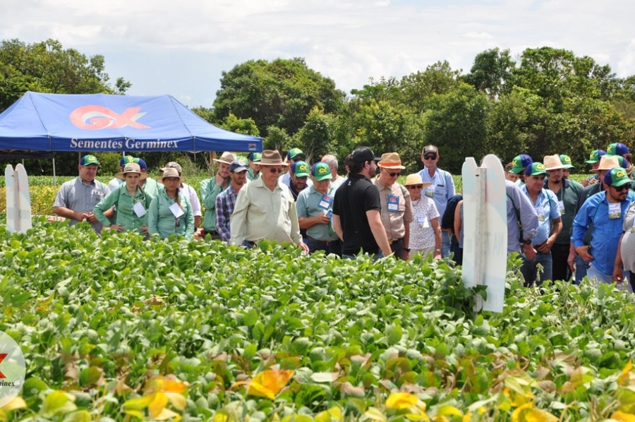 Dia de Campo 'Germinex Sementes