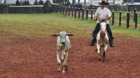 1ª CNL “ Circuito Norte de Laço”  na Fazenda Bruno.