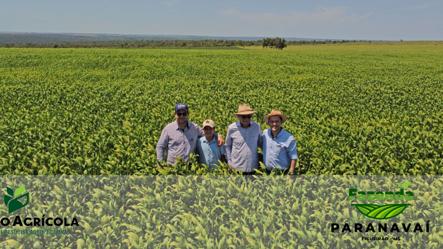 Fazenda Paranavaí - Difusão Agricola no Campo