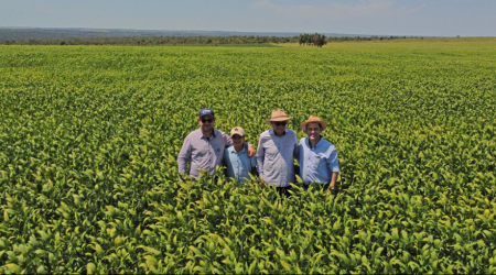 Fazenda Paranavaí - Difusão Agricola no Campo