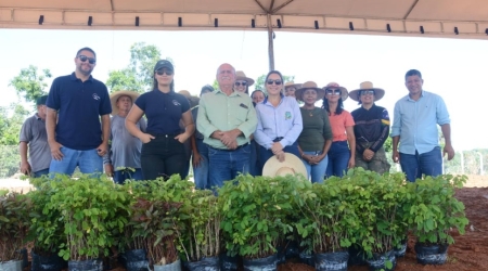 Ação Dia Internacional das Florestas