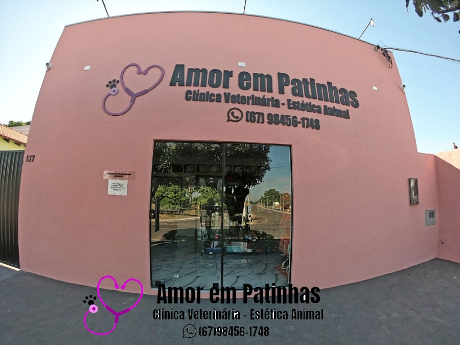 Reinauguração: Amor em Patinhas!!!
