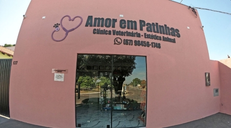 Reinauguração: Amor em Patinhas!!!