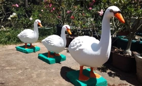 {[ tag:slider[].source ]}