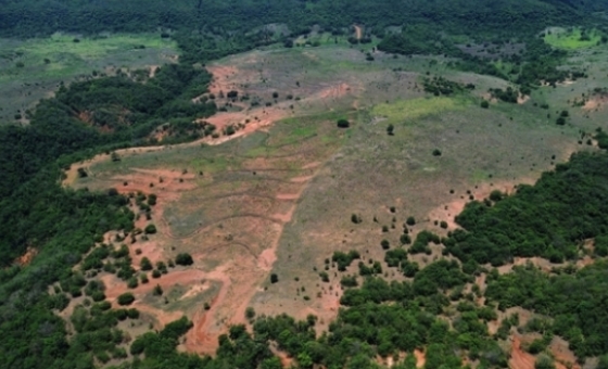 {[ tag:slider[].source ]}