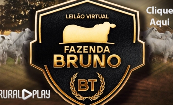 {[ tag:slider[].source ]}