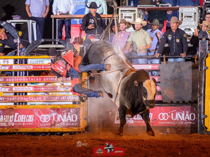 Peão de Cassilândia conquista campeonato de rodeio nos Estados Unidos . —  Iviagora - Portal de Notícias de Ivinhema